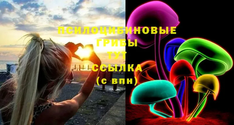 Галлюциногенные грибы мицелий  Грозный 